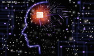 从大数据到人工智能 华为为金融业注入新动能